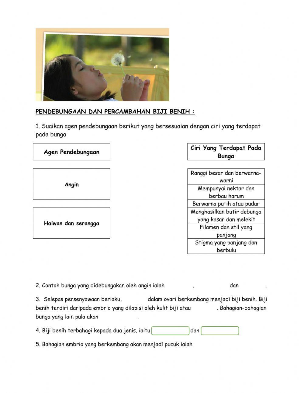 Percambahan biji benih & Pendebungaan