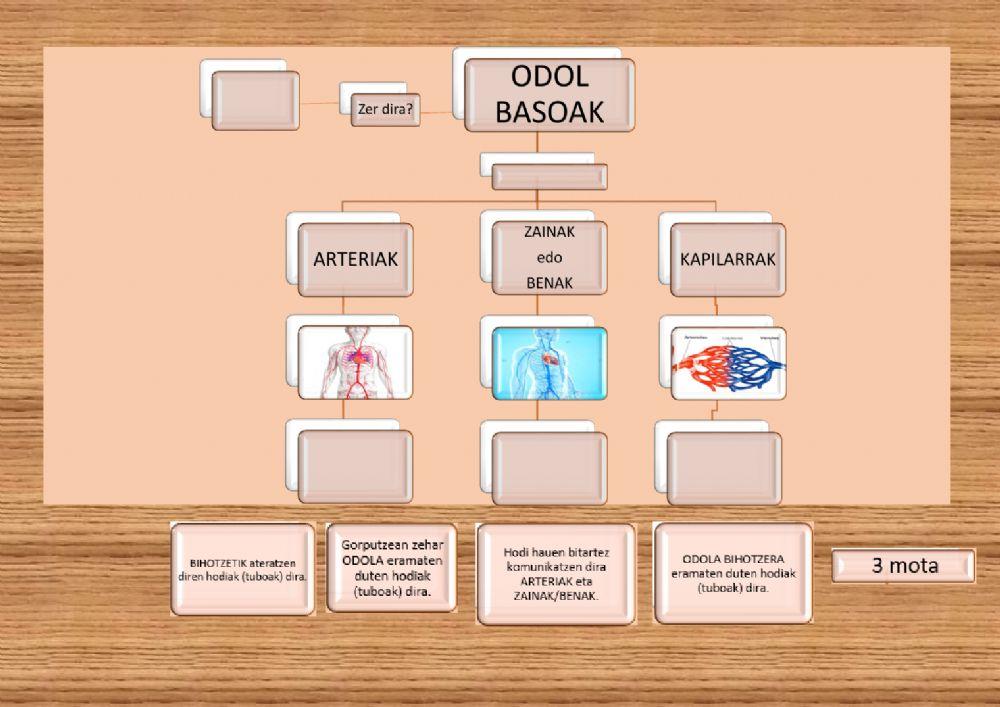 Odol basoak