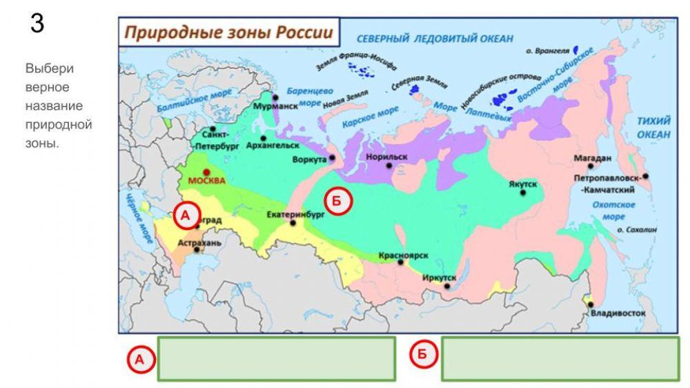 Природные зоны России.