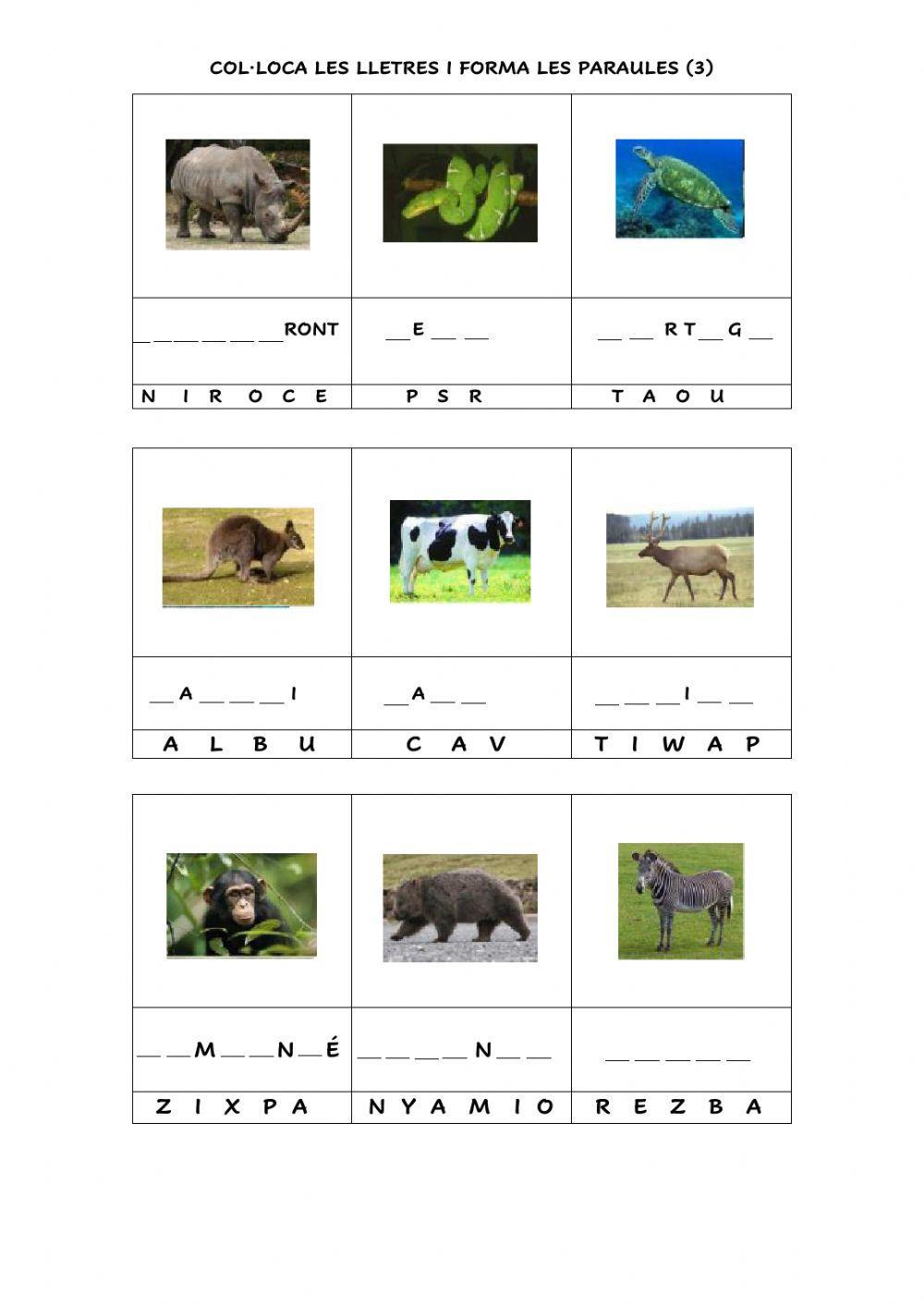 Animals ordenar lletres 3