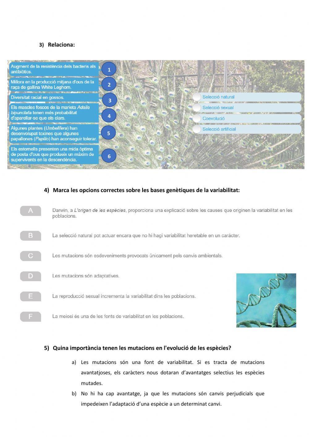 Evolució: variabilitat, mecanismes evolutius, proves de l'evolució, adaptació i especiació