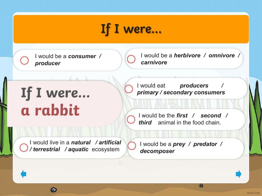 Unit 3 Ecosystems Revision worksheets