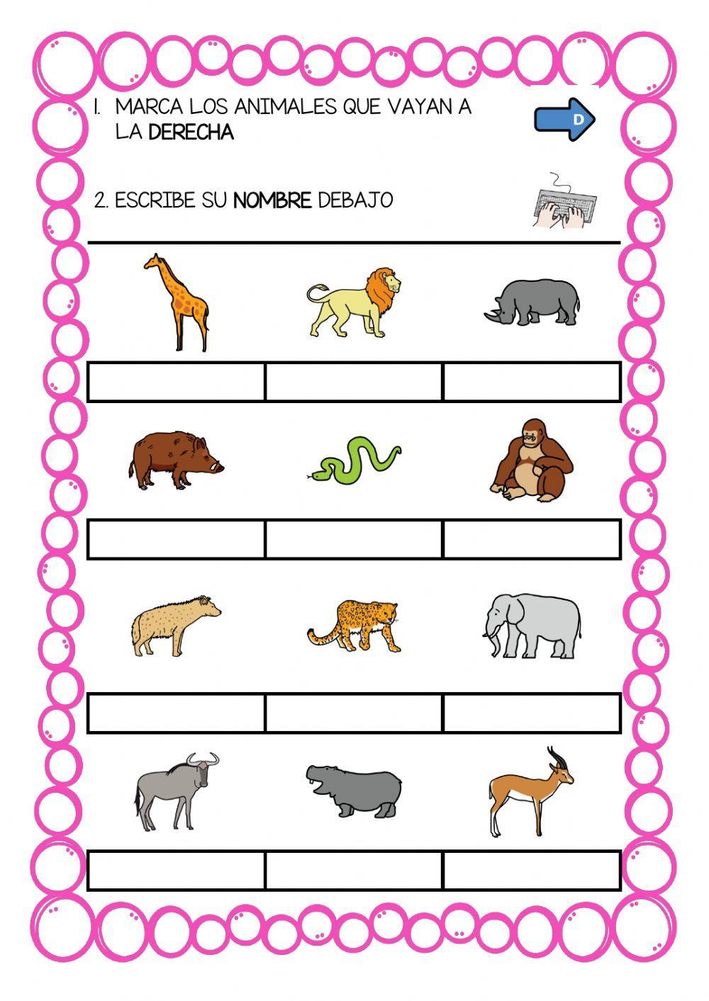 Lateralidad-derecha-5