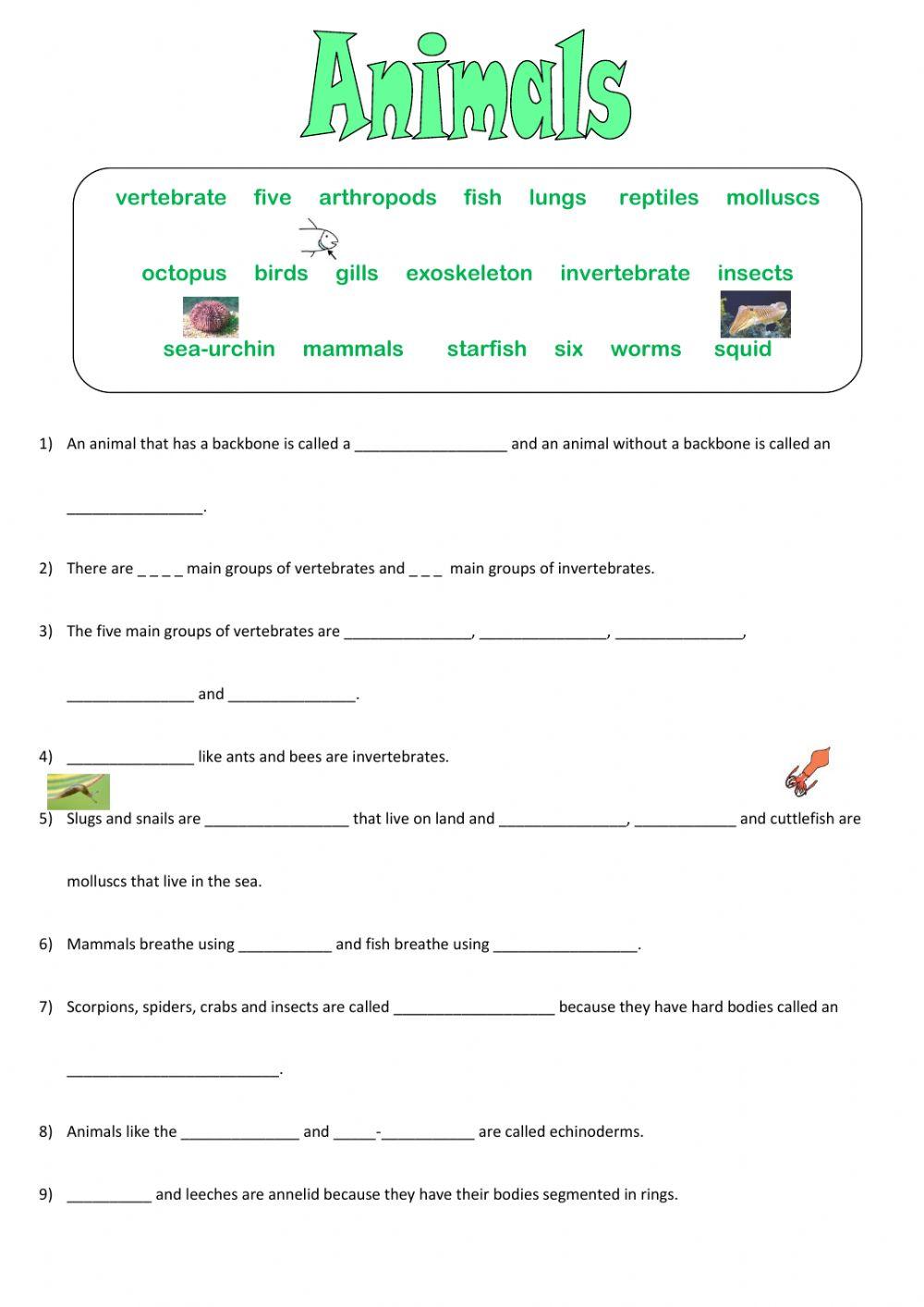 Vertebrates and invertebrates