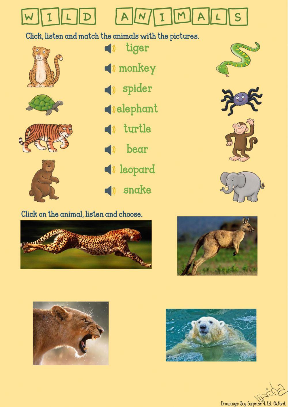Wild Animals by Mariola