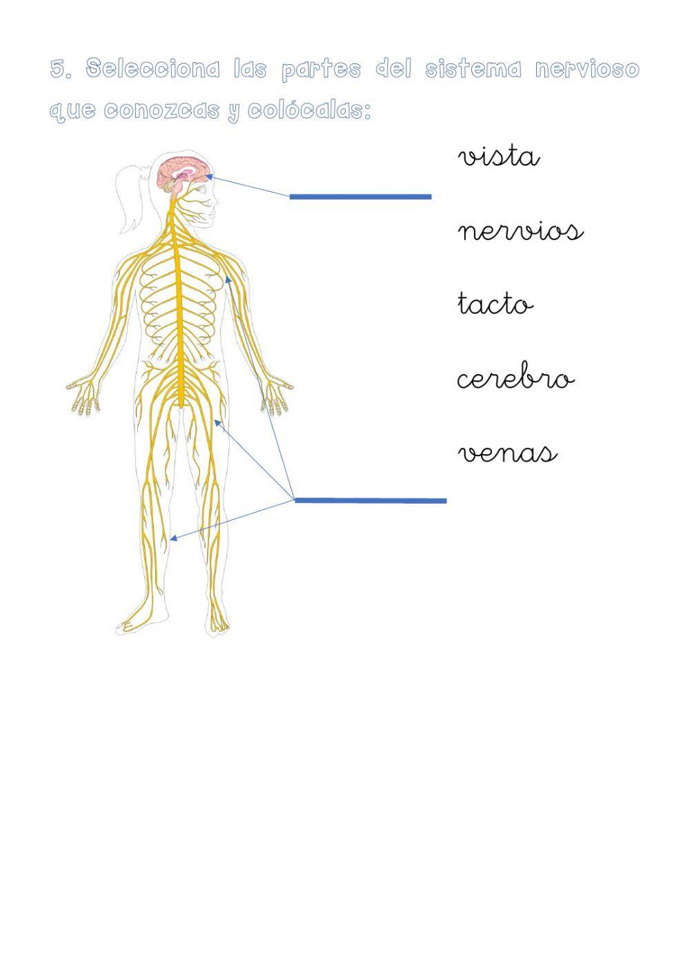 La función de relación