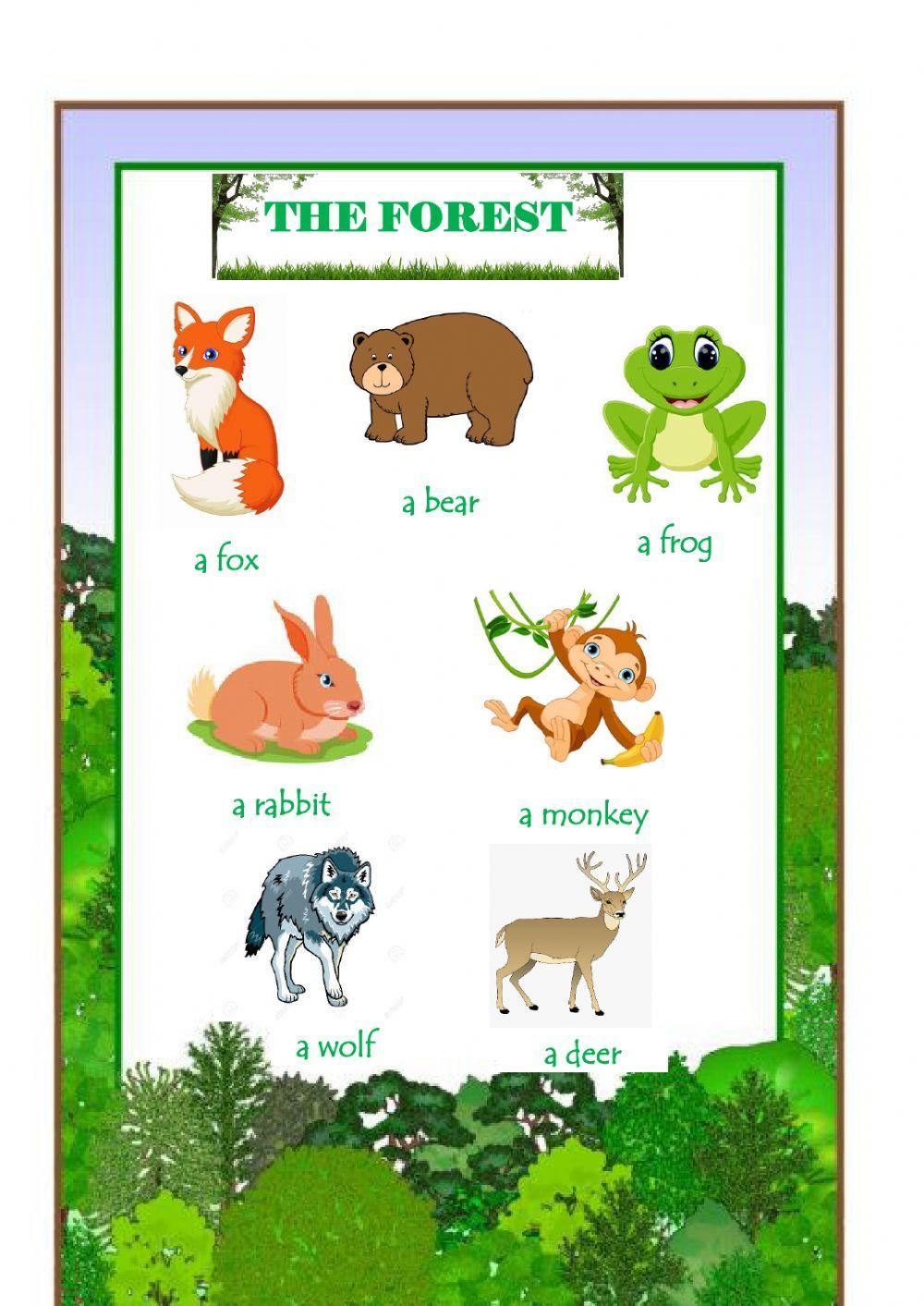 Animals and habitats
