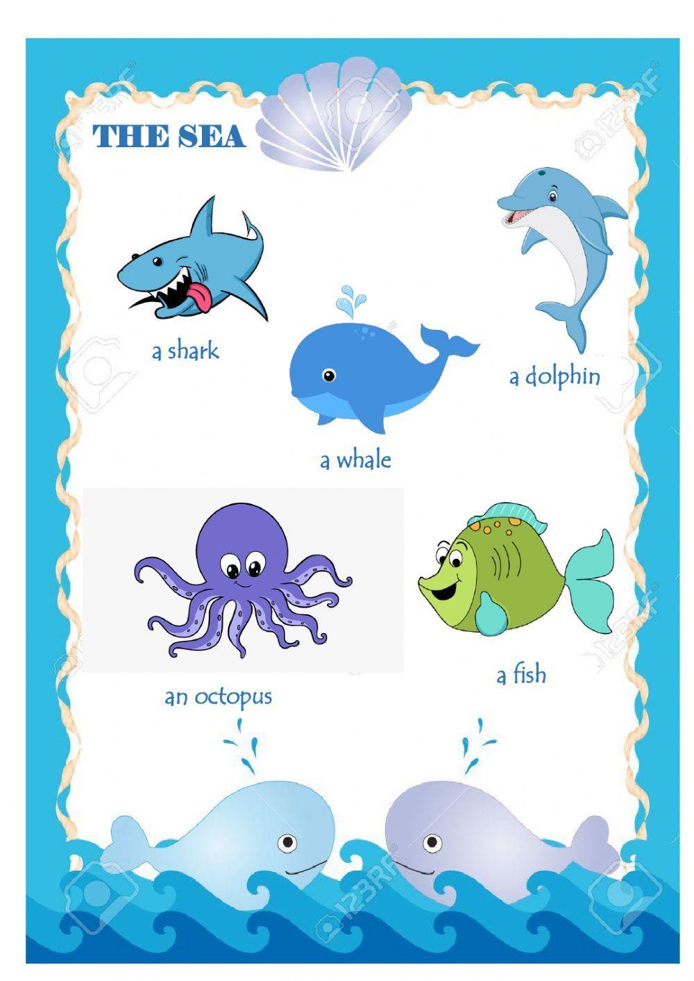 Animals and habitats