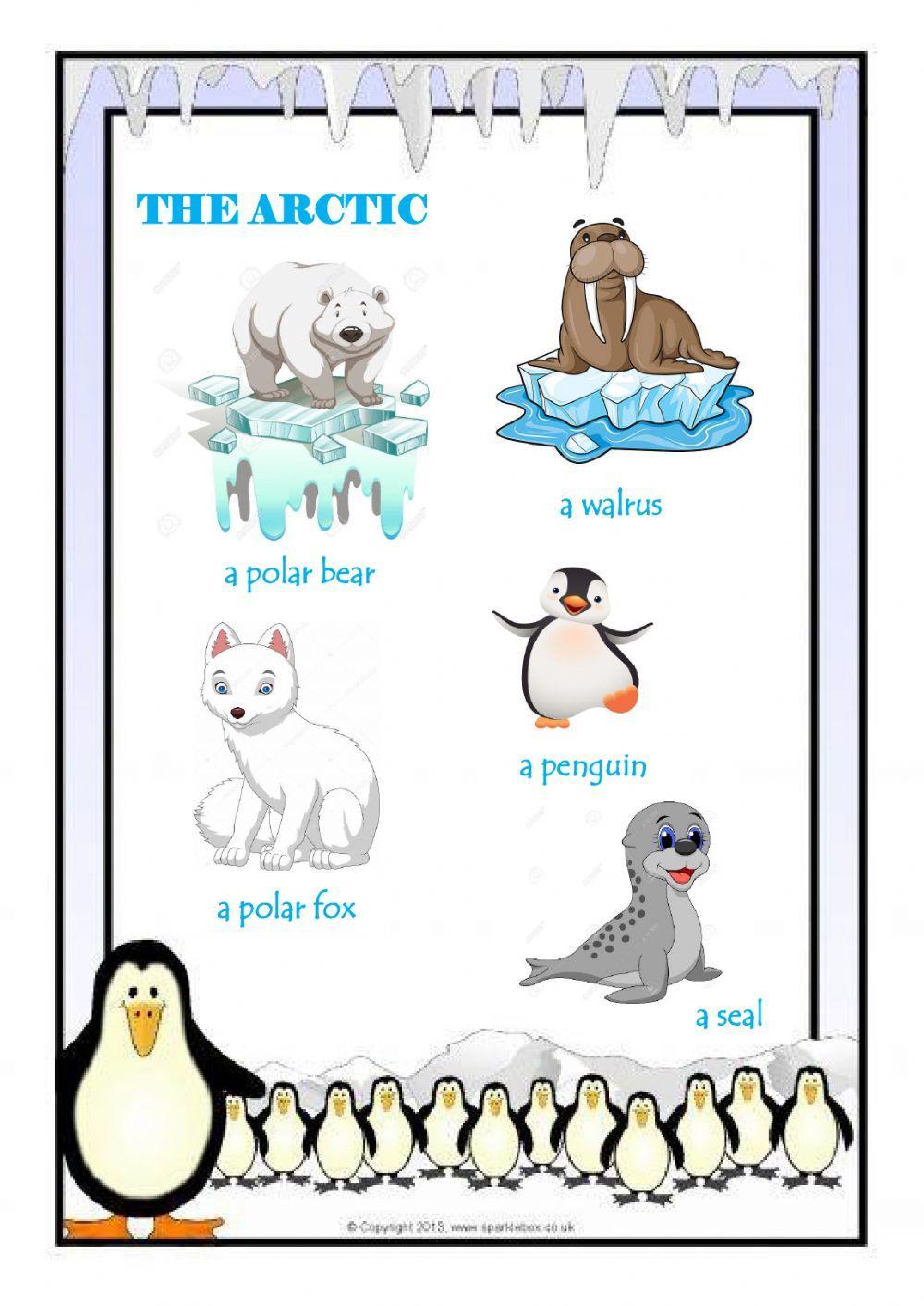 Animals and habitats