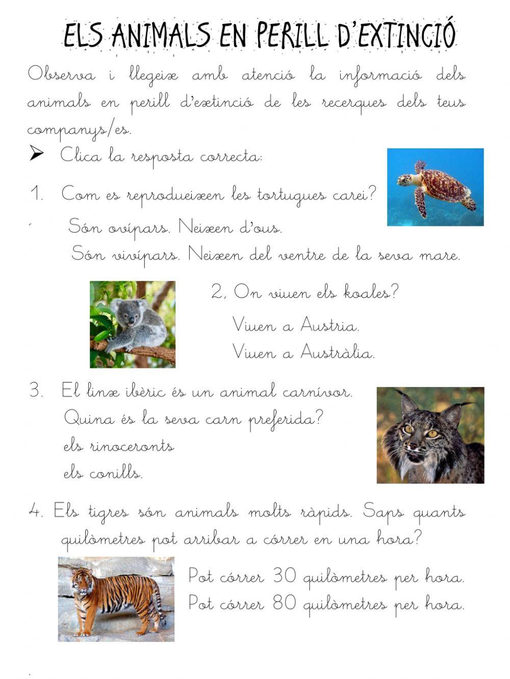 Els animals en perill d'extinció