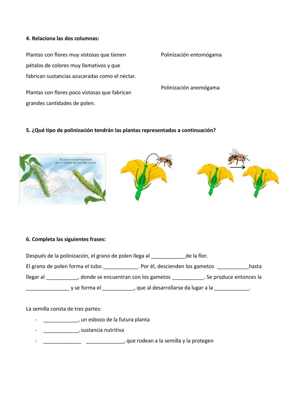 Reproducción sexual en plantas