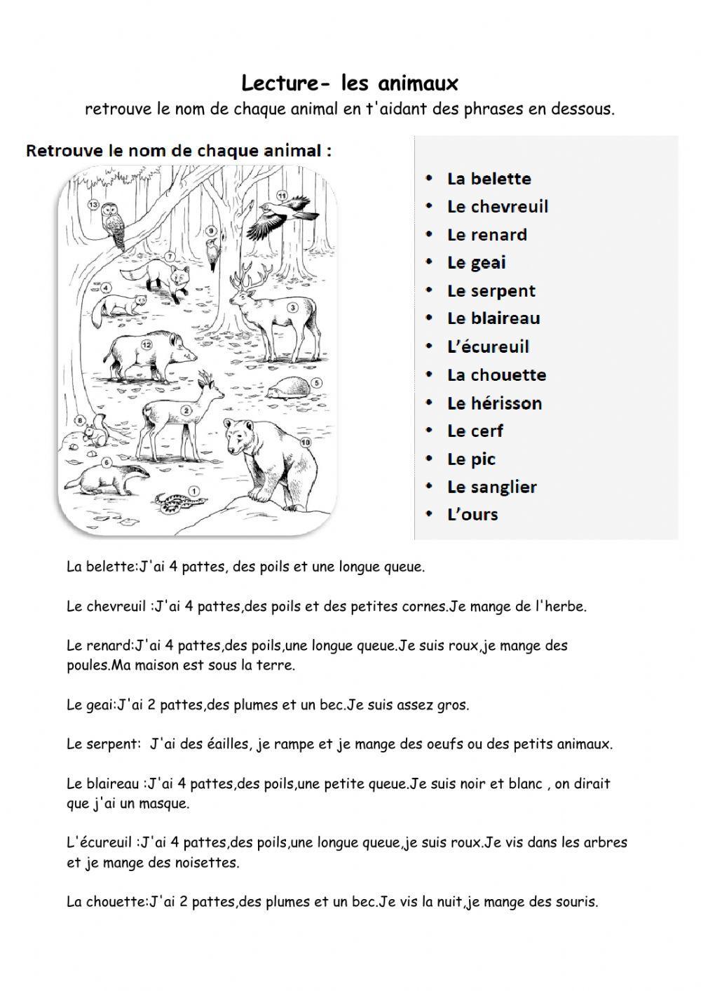 Les animaux de la foret