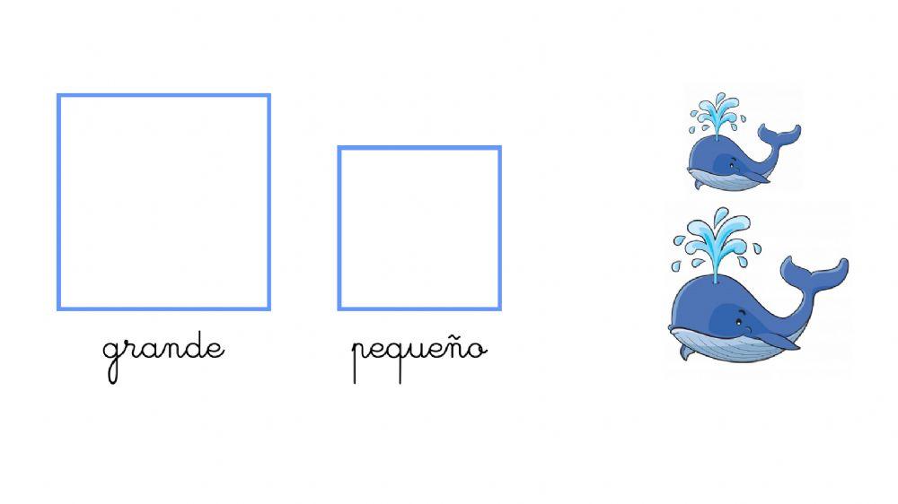 Grande y pequeño