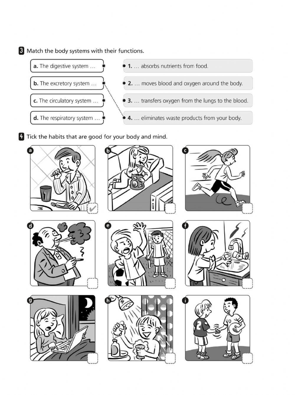 Activities Natural Science 1º