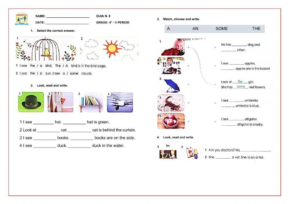 A, an, the, noun Exercise