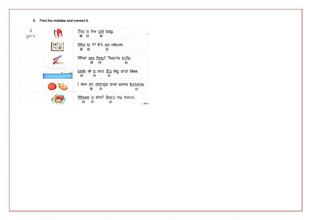 A, an, the, noun Exercise