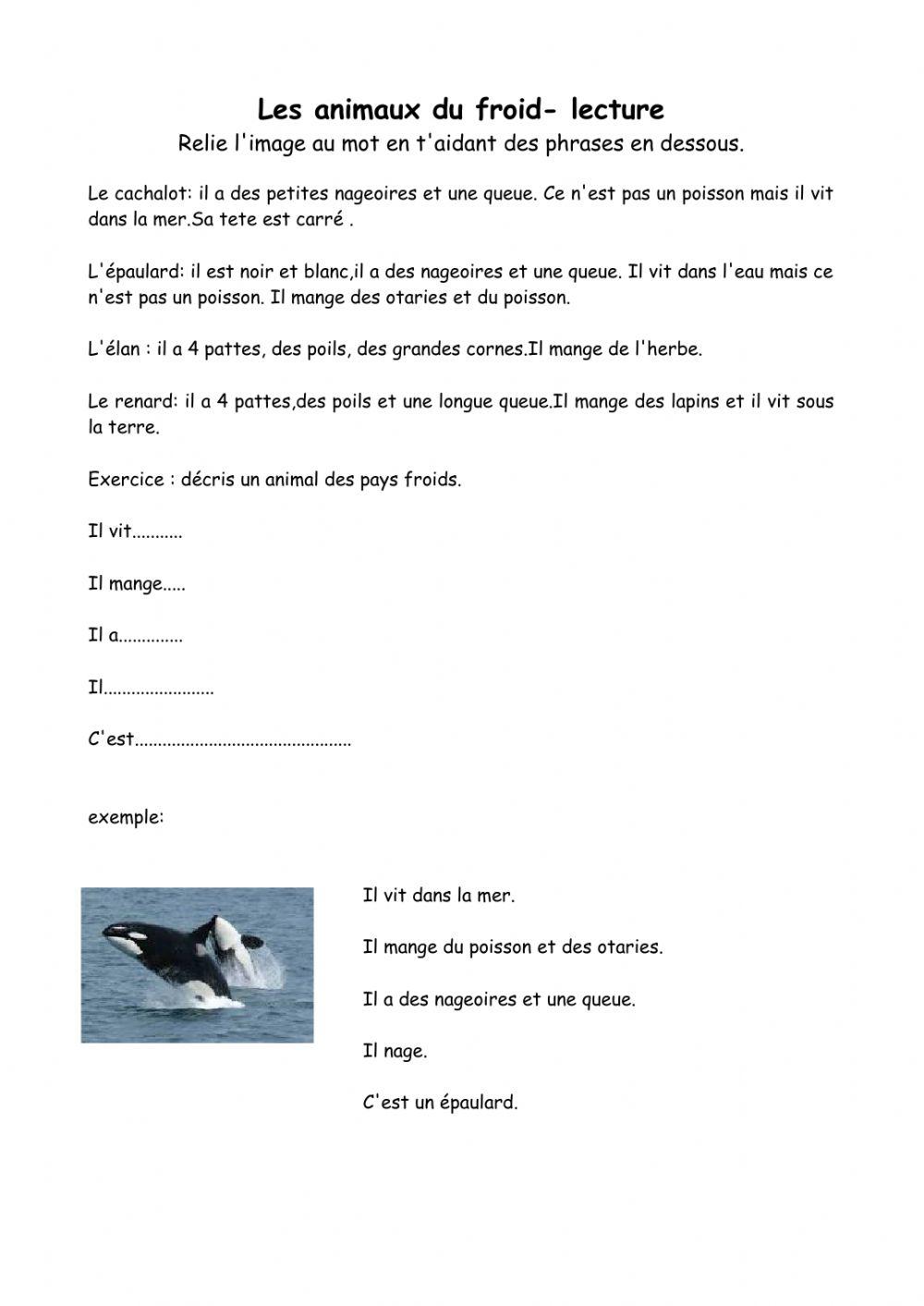 Les animaux du froid