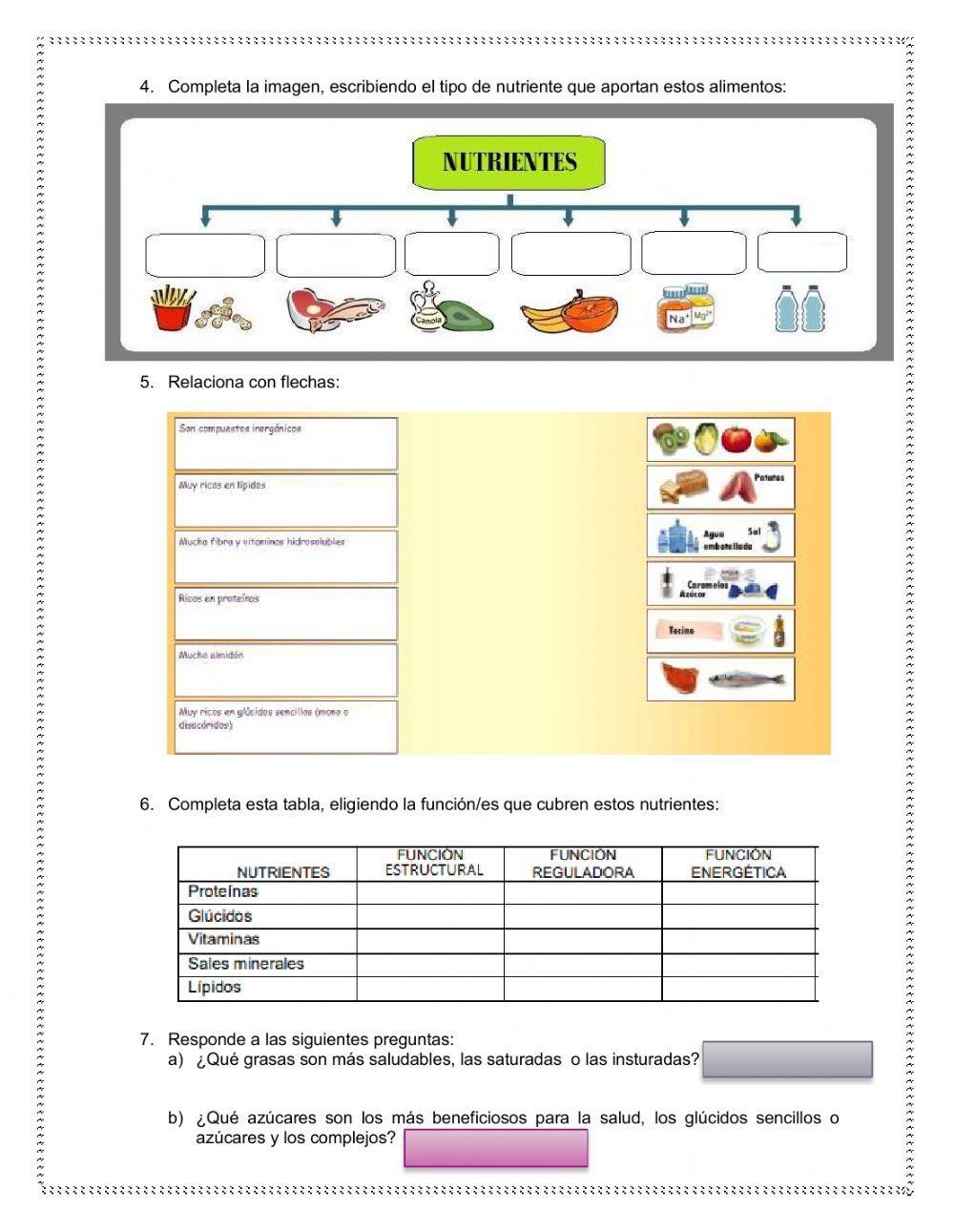 Alimentación y nutrición