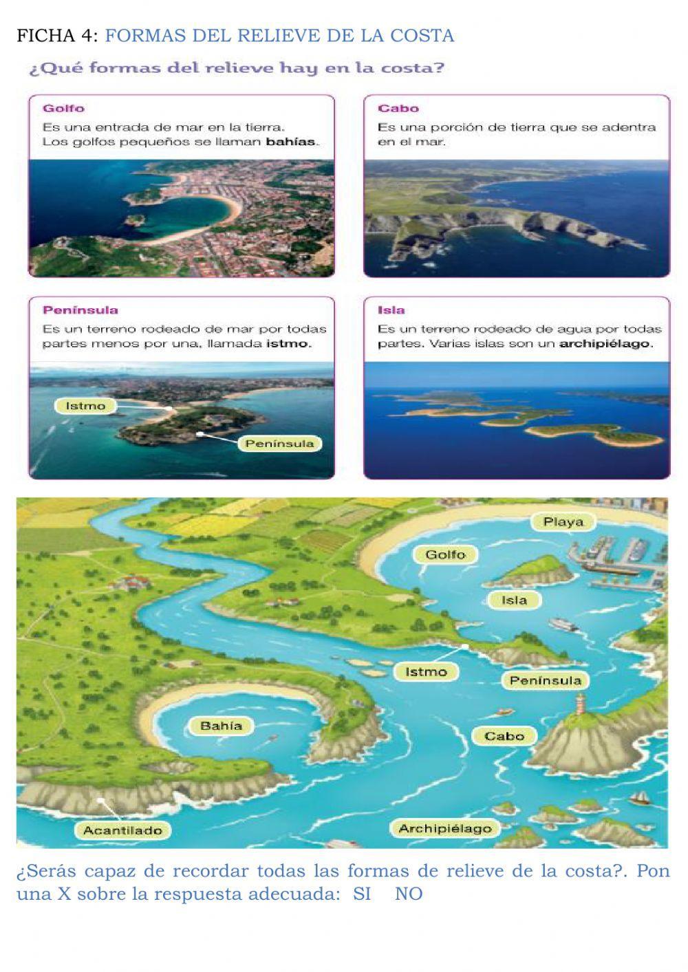 Formas del relieve de la costa