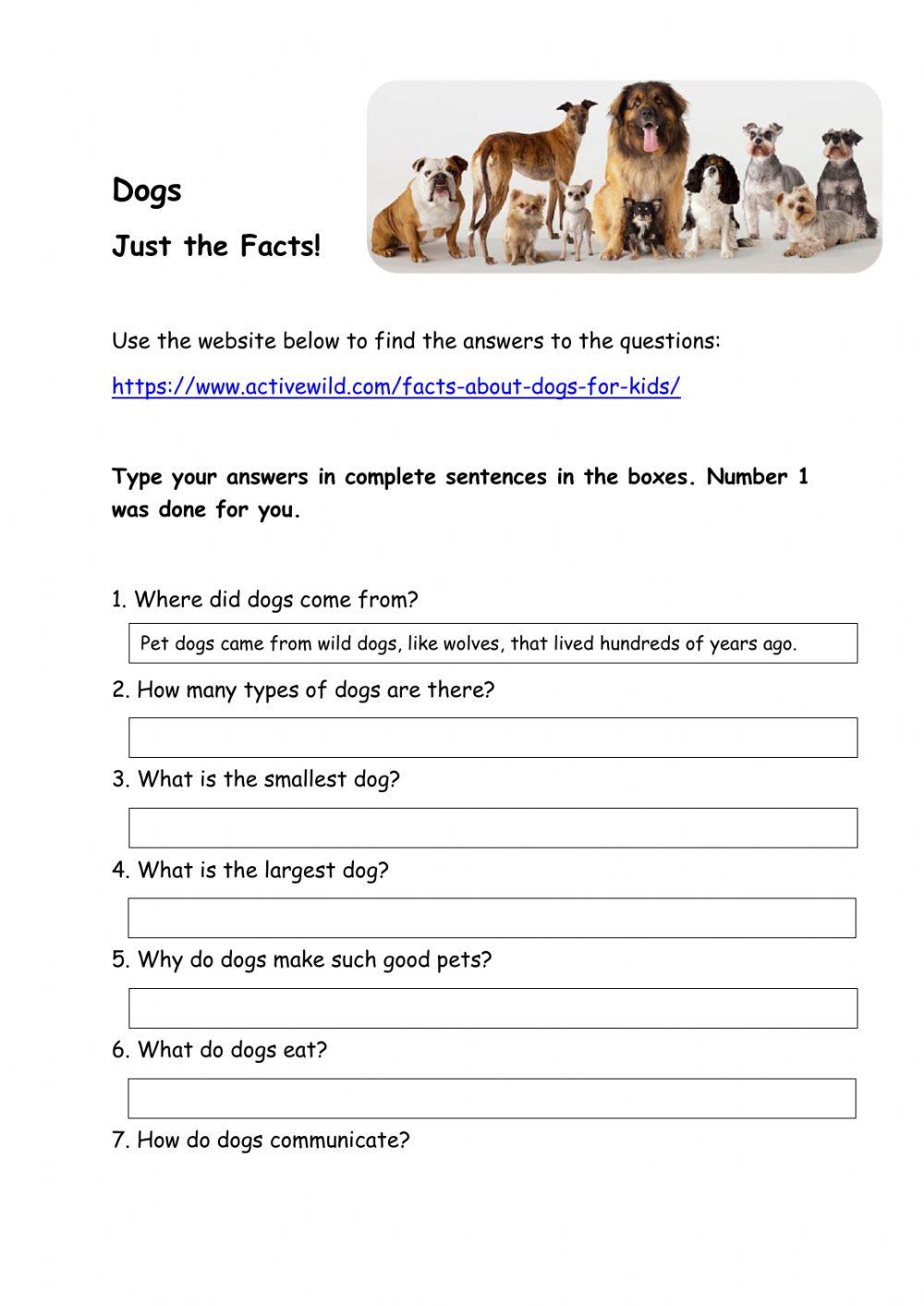 Dogs! Just the Facts