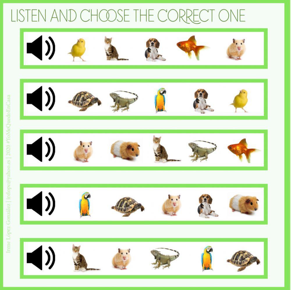 Actividades Animales-Mascotas