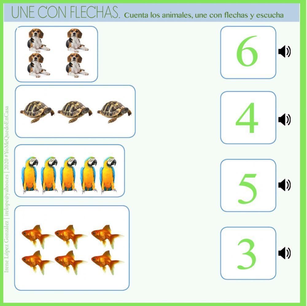 Actividades Animales-Mascotas