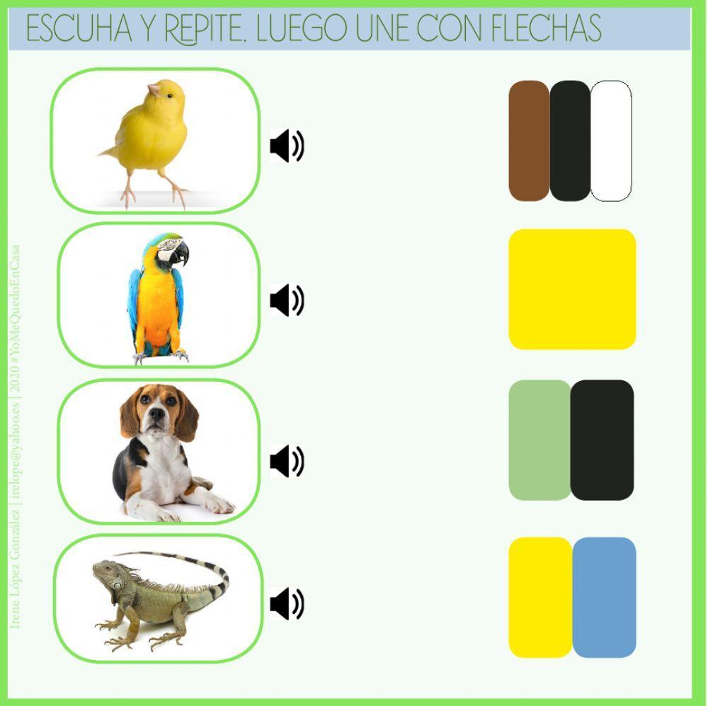 Actividades Animales-Mascotas