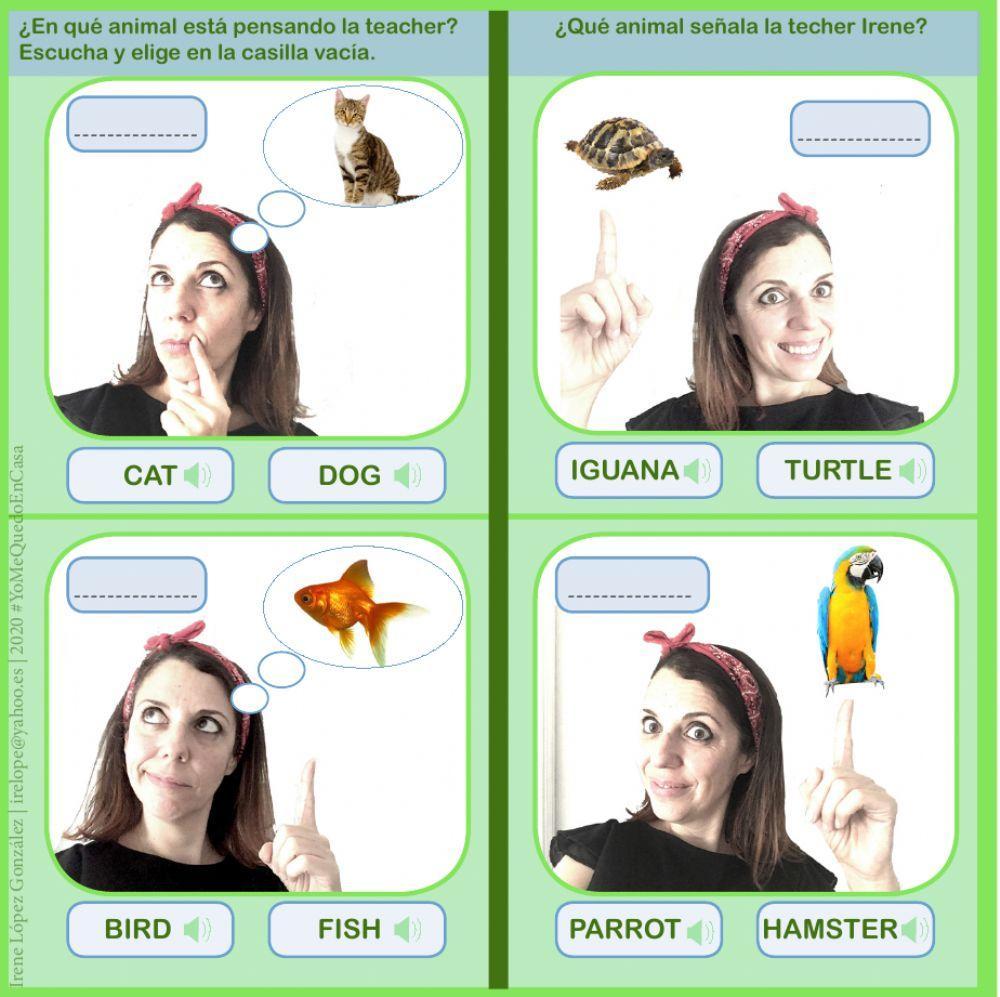 Actividades Animales-Mascotas