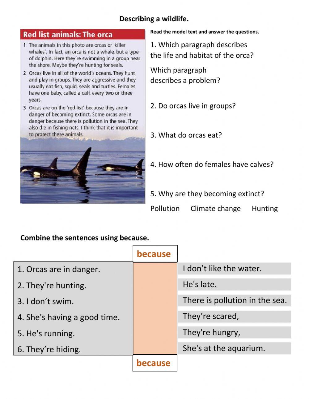 Describing a wildlife.EP1.Unit 4.(pg.45).