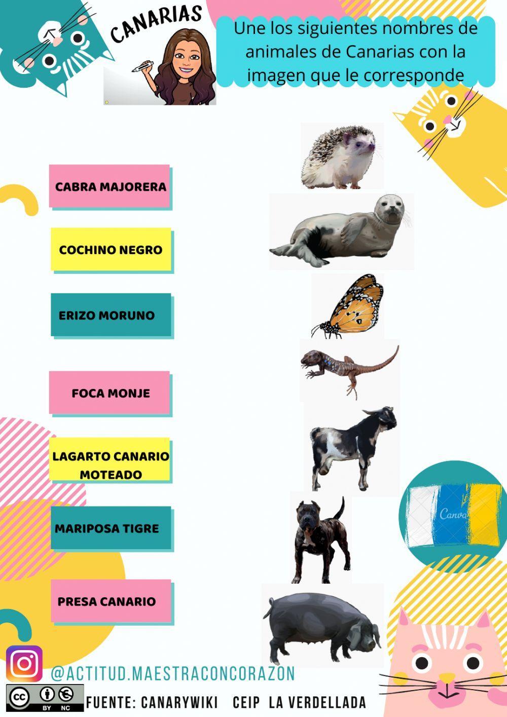 Animales de Canarias