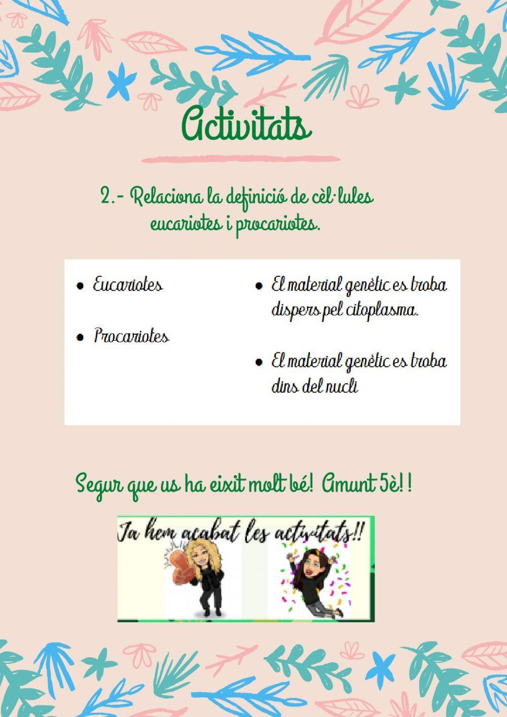 Tipus de cèl·lules