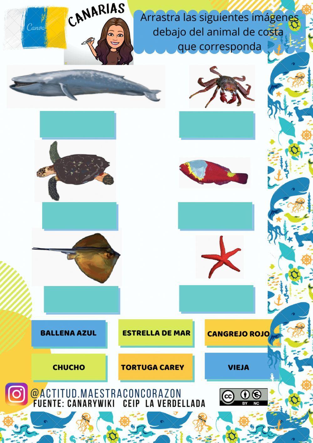 Animales de costa de Canarias