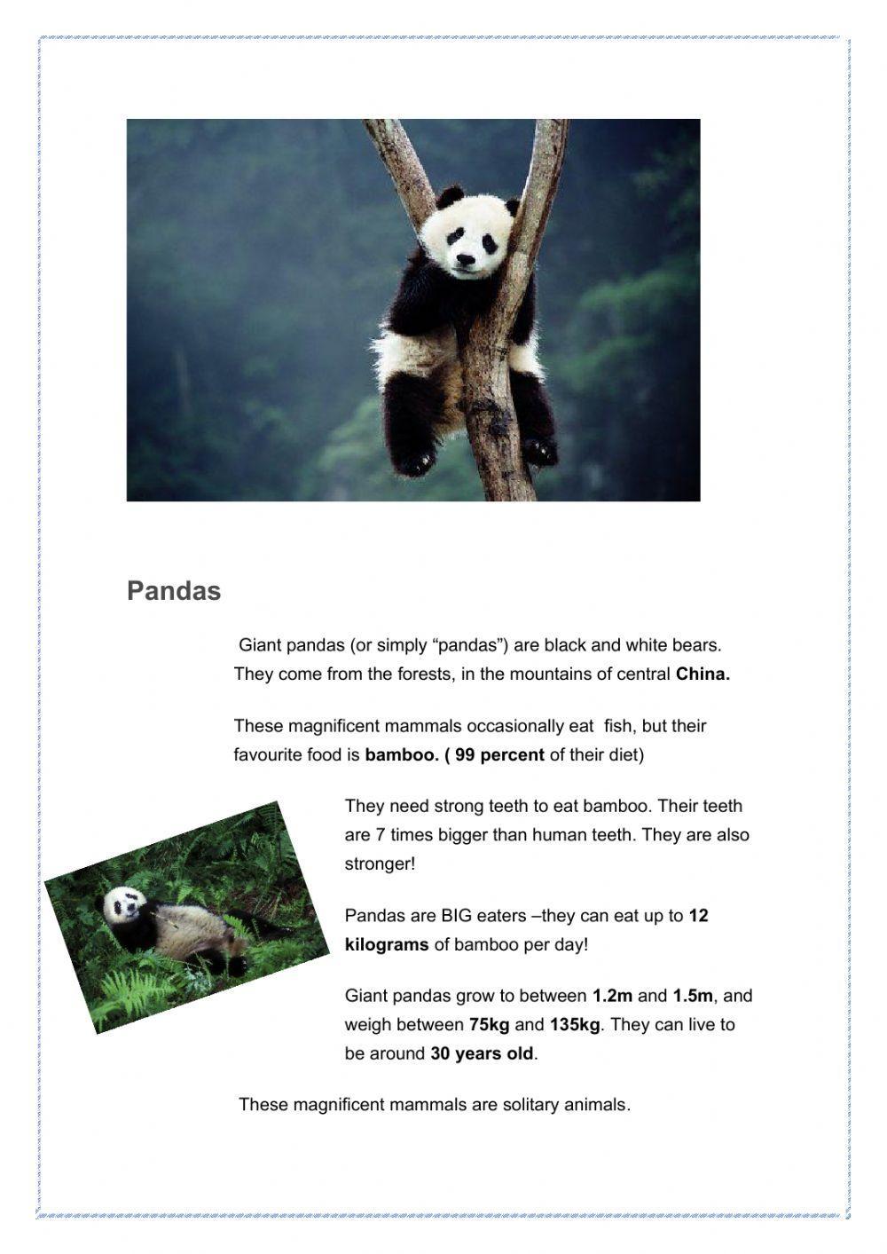 Pandas: reading comprehension