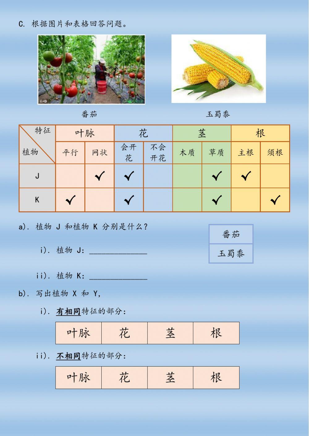 一年级 科学： 植物： 复习 3
