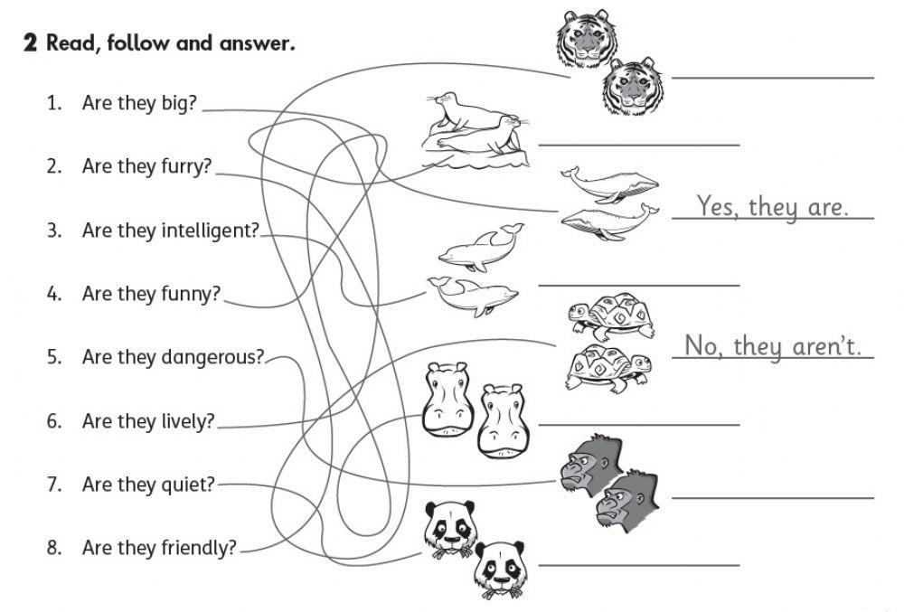 Read, follow and answer Read, follow and answer