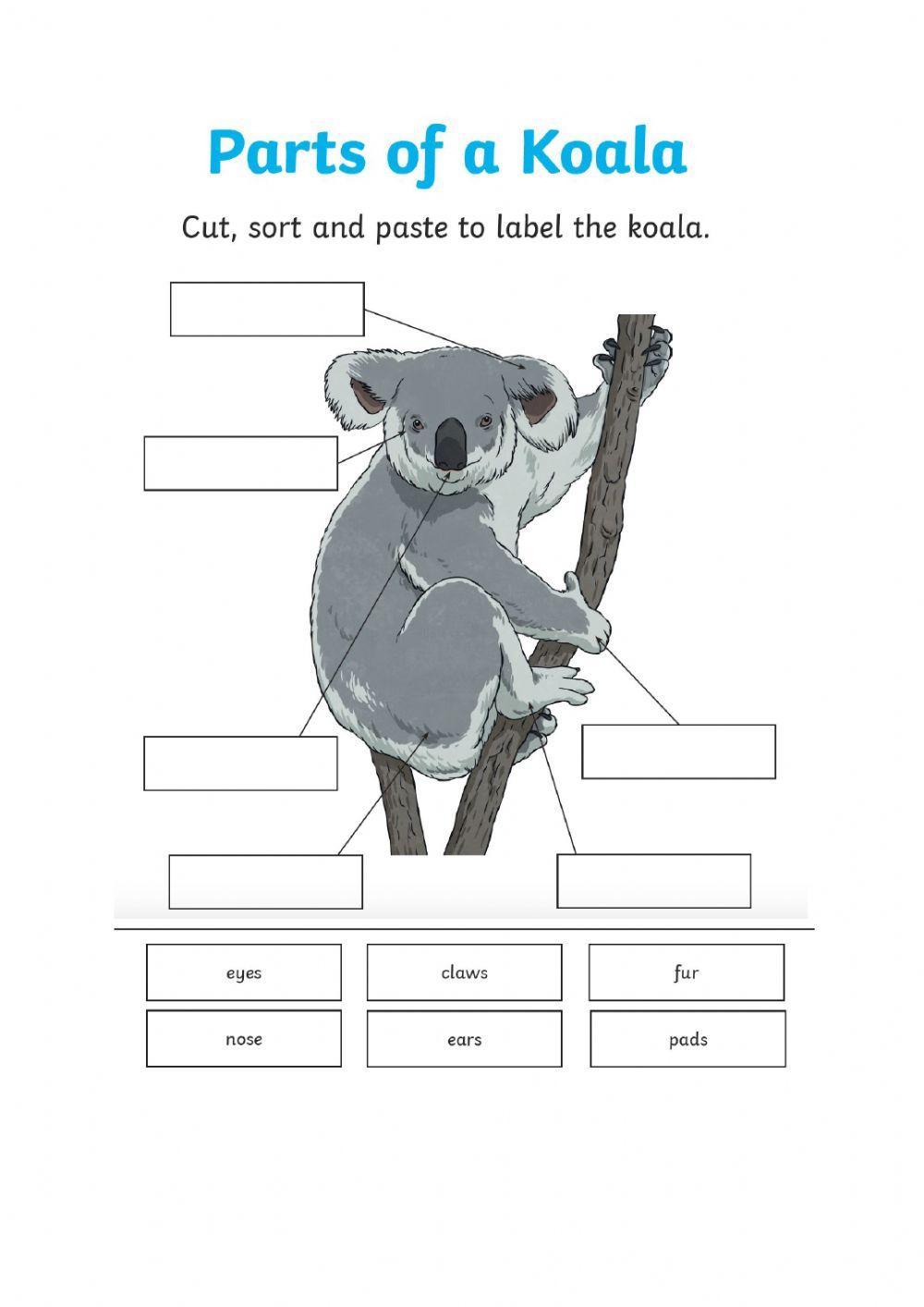 Labelling parts of Koala