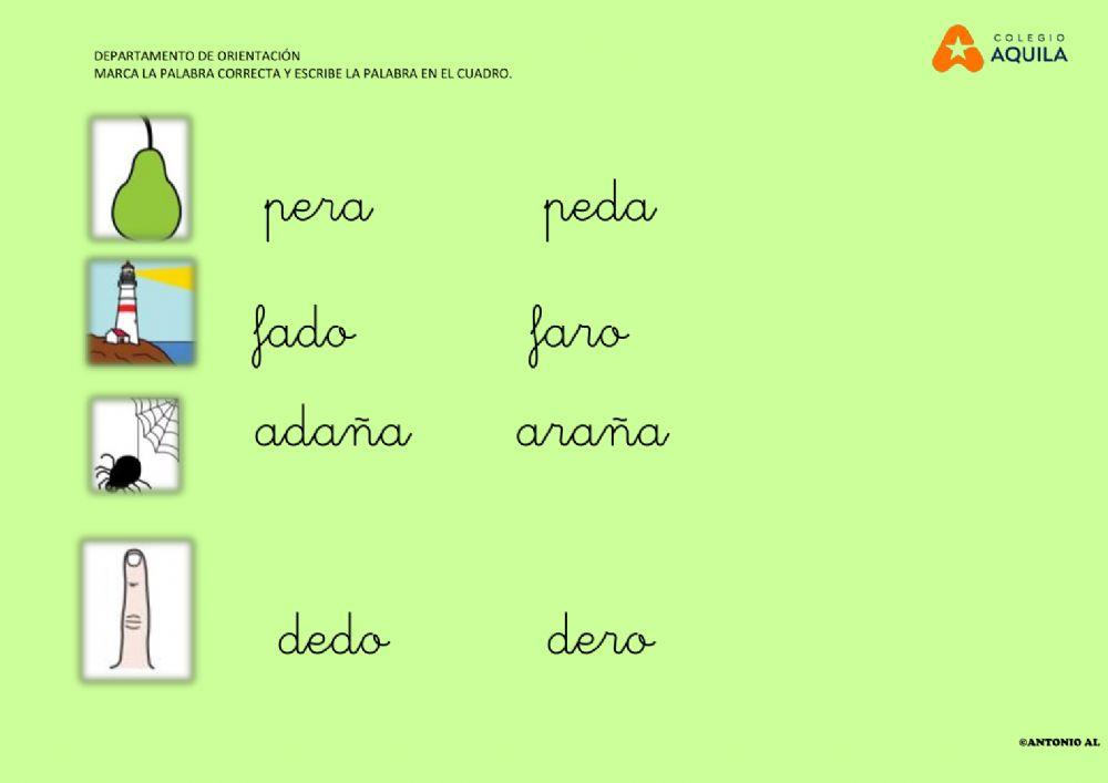 Marca la palabra correcta y escribe en el cuadro