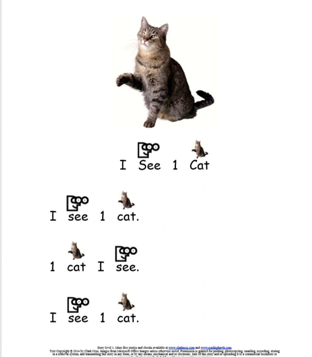 Reading practic… | Free Interactive Worksheets | 176331