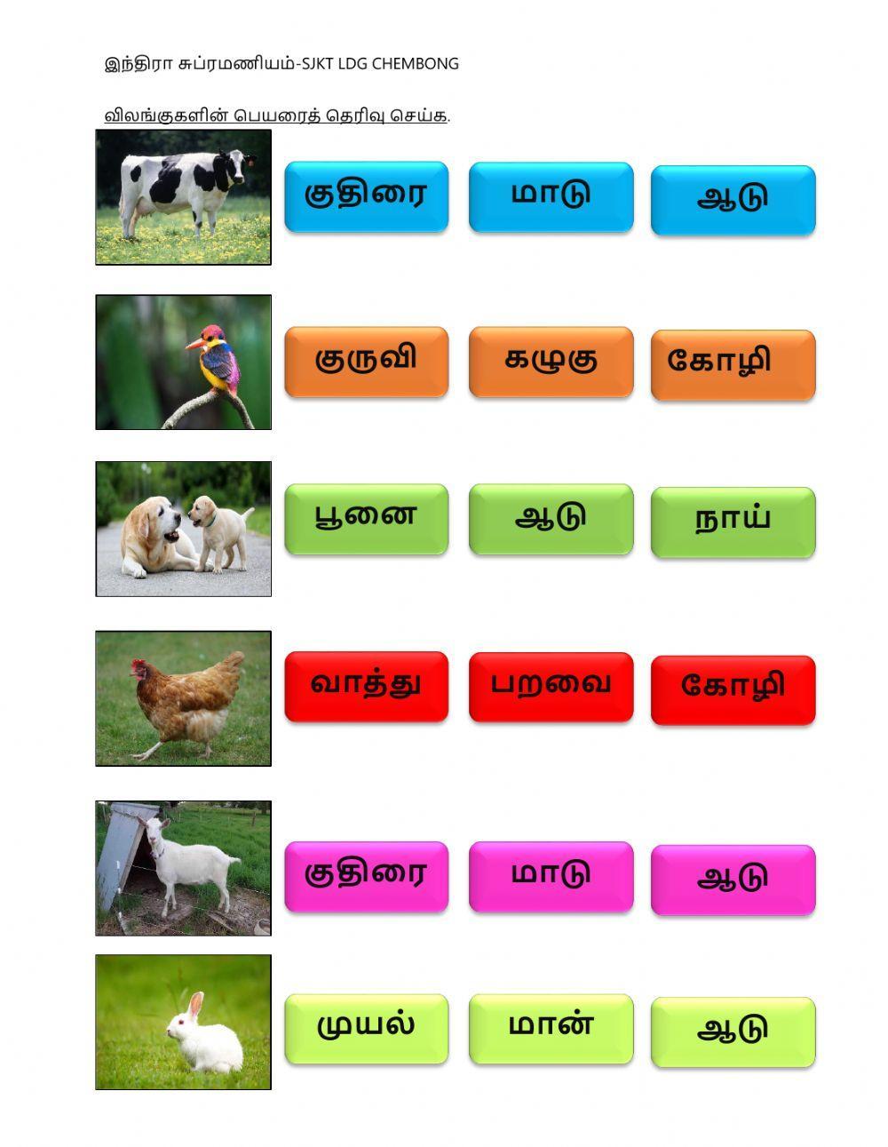 விலங்குகள் ஆ1