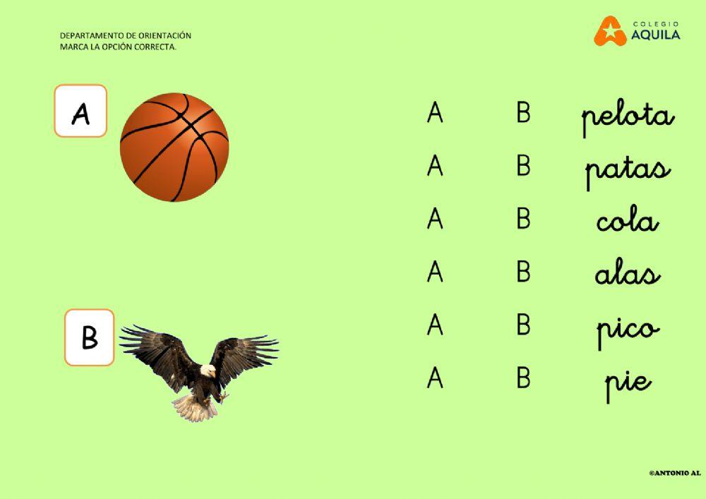 Marca la letra correcta