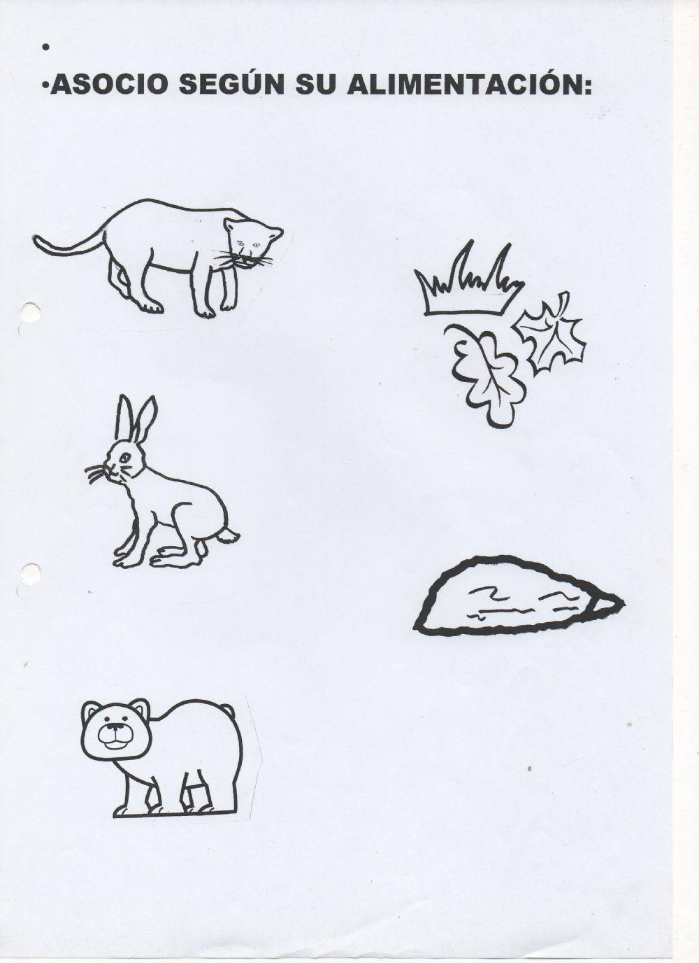 Animales por su alimentación