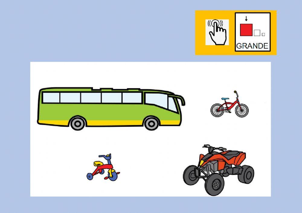 Busca el transporte grande