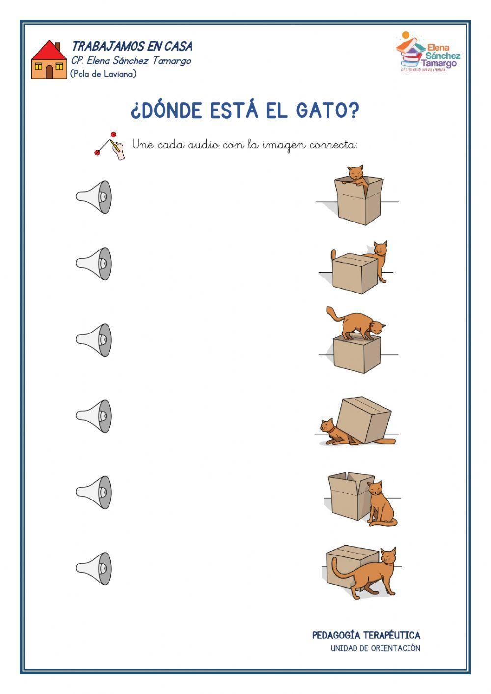 ¿Dónde está el gato?