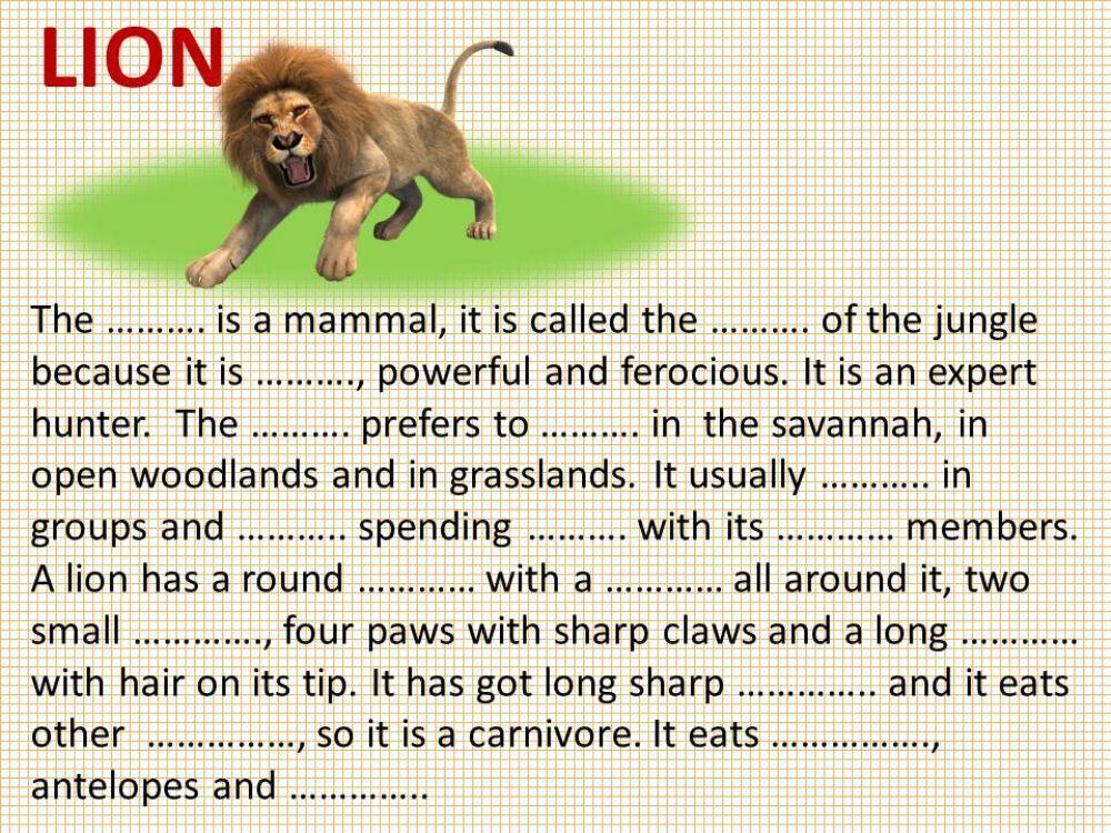 A SIMPLE DESCRIPTION OF THE LION