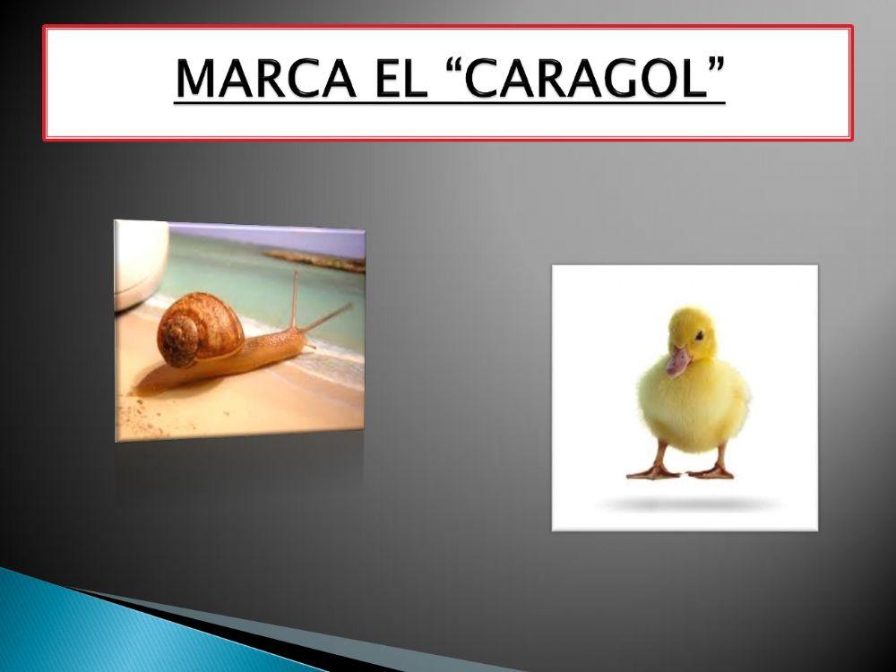 Vocabulari valencià