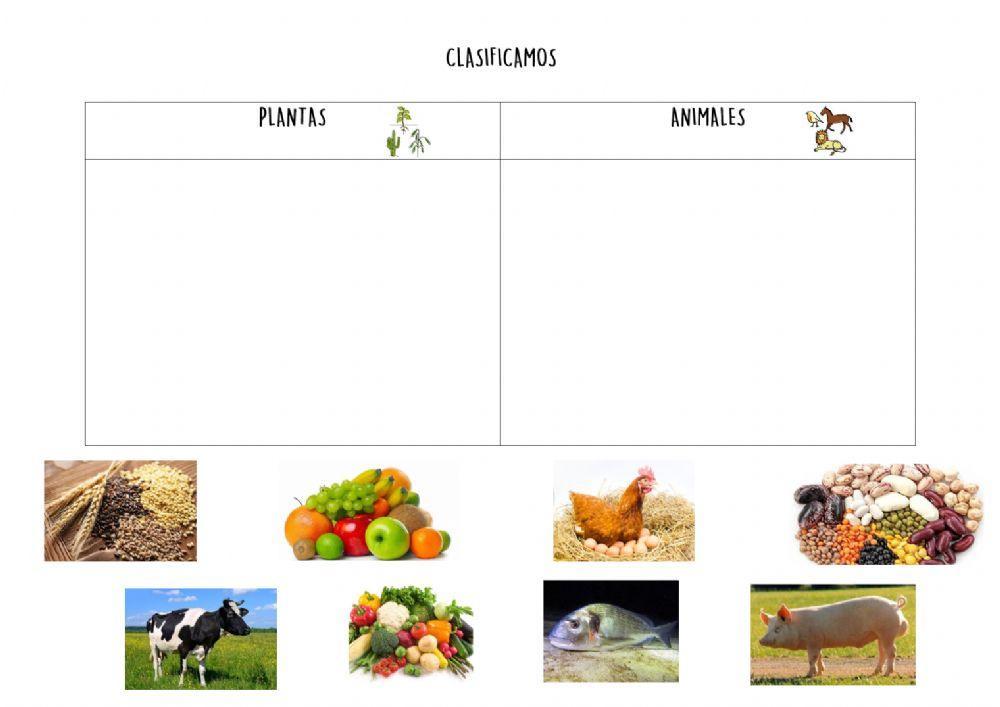 Alimentos de origen vegetal y animal
