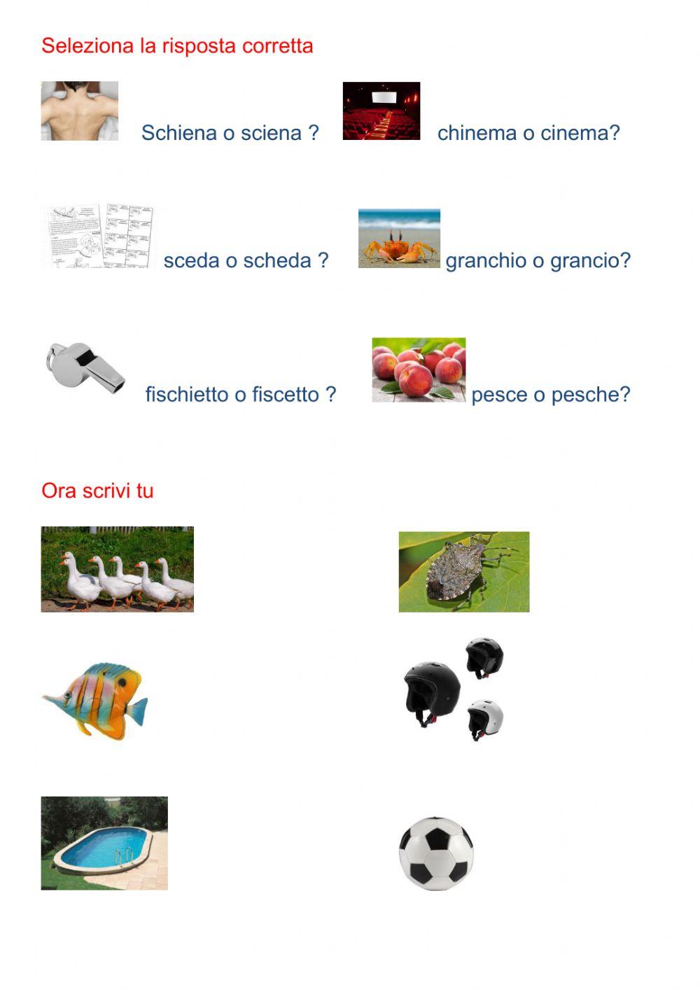 Lettura e comprensione