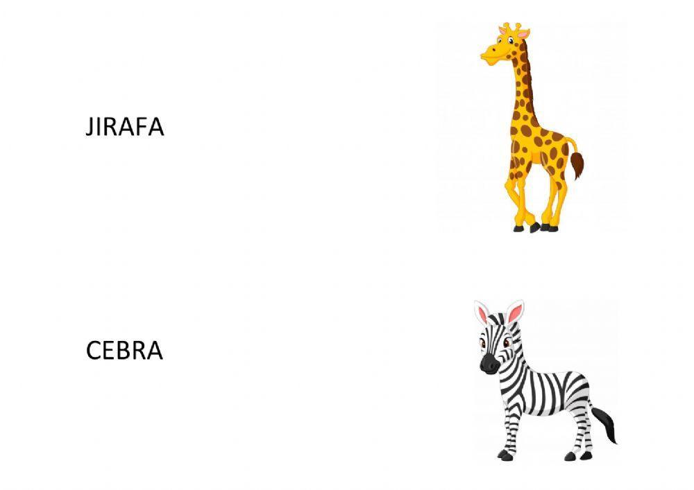 Asociar palabra e imagen