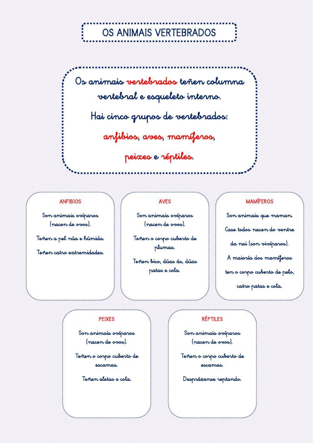 ANIMAIS VERTEBRADOS ANIMAIS VERTEBRADOS