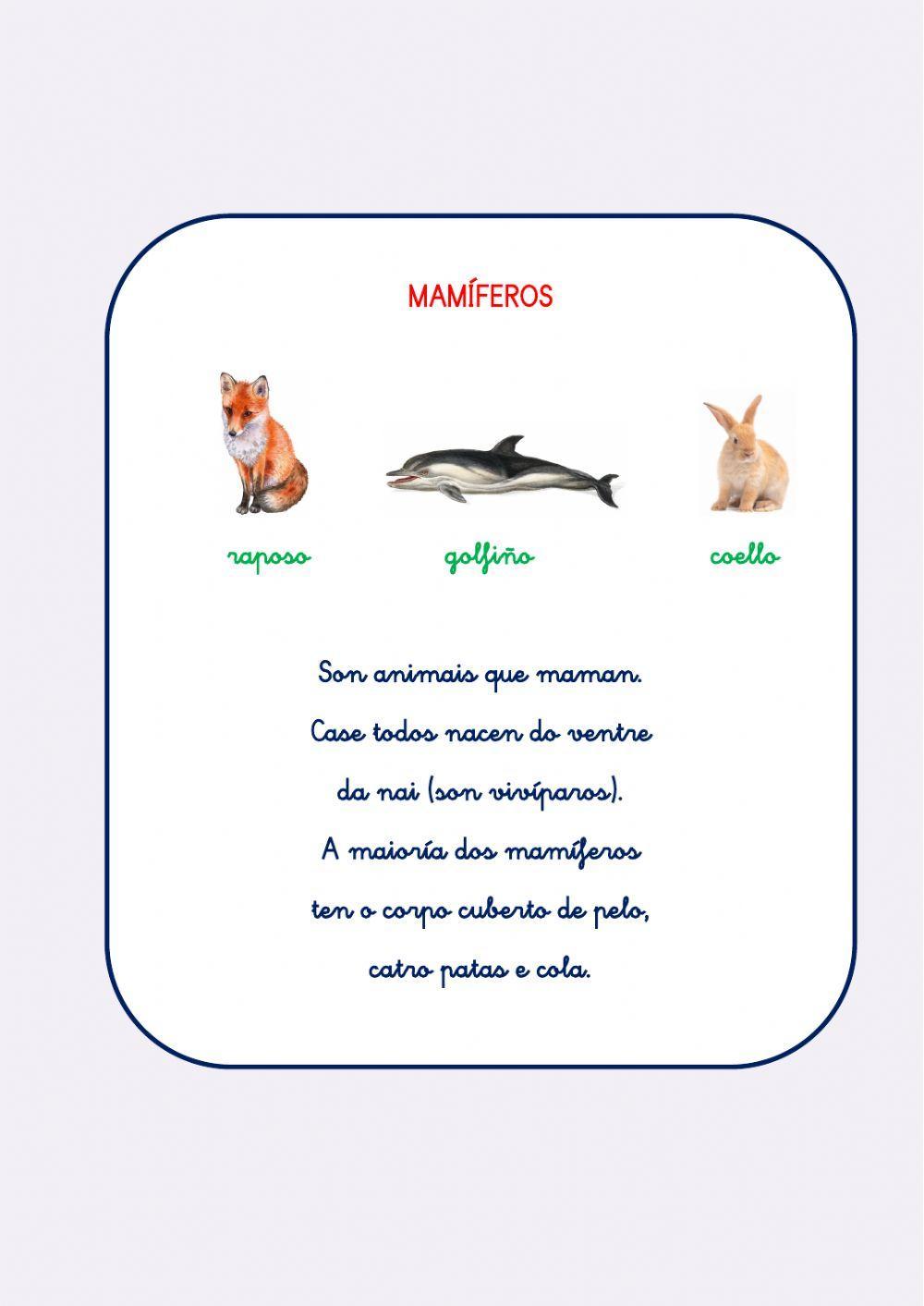 ANIMAIS VERTEBRADOS ANIMAIS VERTEBRADOS